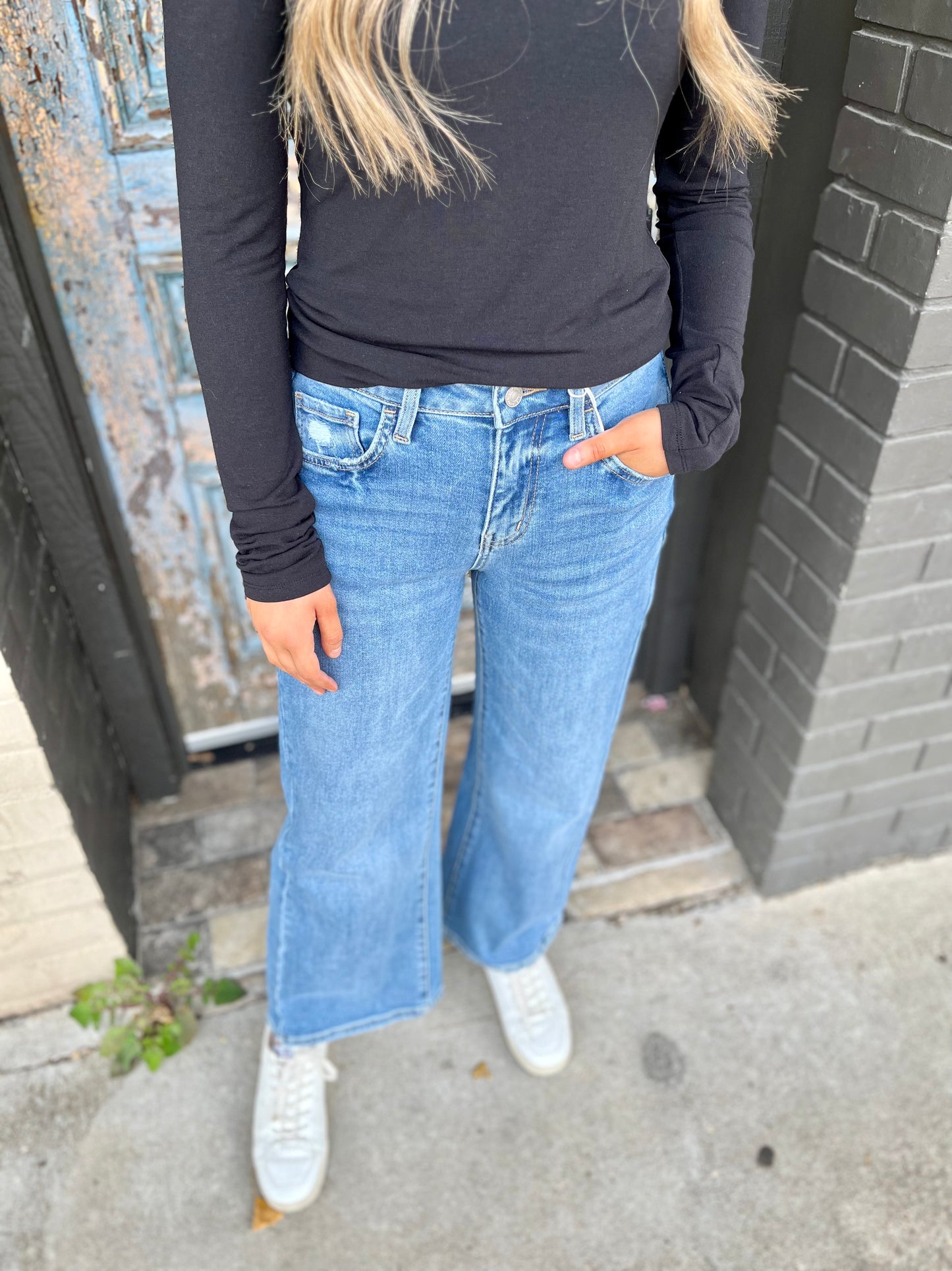 Vervet High Rise Baggy Wide Leg Denim