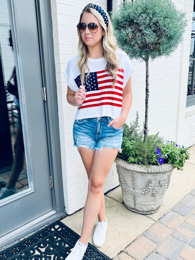 Flag Knit Top