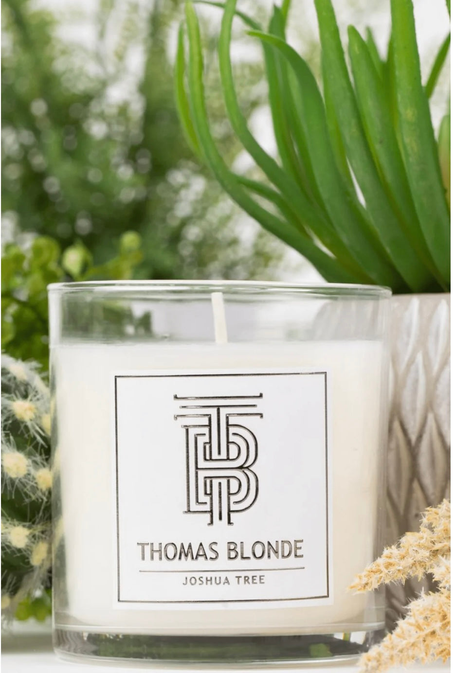 Joshua Tree Candle